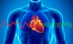 L'intelligence du coeur et la cohérence cardiaque selon David Lefrançois